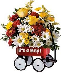 <b>Baby's First Wagon</b> from Scott's House of Flowers in Lawton, OK